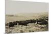 Herding Buffalo-null-Mounted Art Print