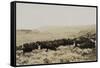 Herding Buffalo-null-Framed Stretched Canvas
