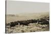 Herding Buffalo-null-Stretched Canvas