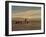 Herding Camel Train, Inner Mongolia-Vincent Haddelsey-Framed Giclee Print