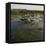 Herding Horses, Argentina-null-Framed Stretched Canvas