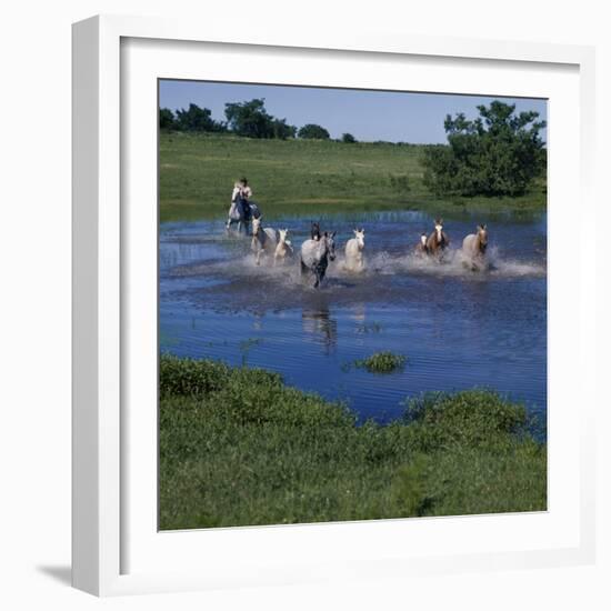 Herding Horses, Argentina-null-Framed Photographic Print