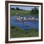 Herding Horses, Argentina-null-Framed Photographic Print