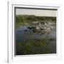 Herding Horses, Argentina-null-Framed Photographic Print