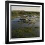 Herding Horses, Argentina-null-Framed Photographic Print