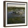 Herding Horses, Argentina-null-Framed Photographic Print