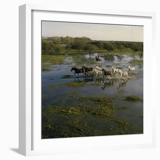 Herding Horses, Argentina-null-Framed Photographic Print