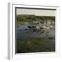 Herding Horses, Argentina-null-Framed Photographic Print