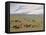 Herding Horses, Inner Mongolia-Vincent Haddelsey-Framed Stretched Canvas