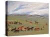 Herding Horses, Inner Mongolia-Vincent Haddelsey-Stretched Canvas