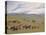 Herding Horses, Inner Mongolia-Vincent Haddelsey-Stretched Canvas