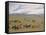 Herding Horses, Inner Mongolia-Vincent Haddelsey-Framed Stretched Canvas