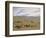 Herding Horses, Inner Mongolia-Vincent Haddelsey-Framed Giclee Print