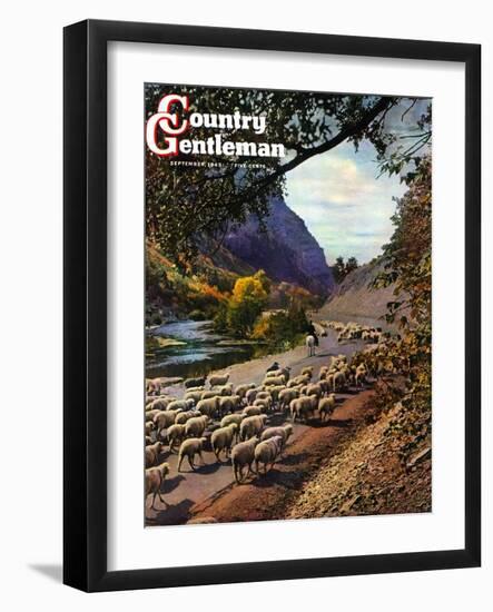 "Herding Sheep," Country Gentleman Cover, September 1, 1943-Mike Roberts-Framed Giclee Print