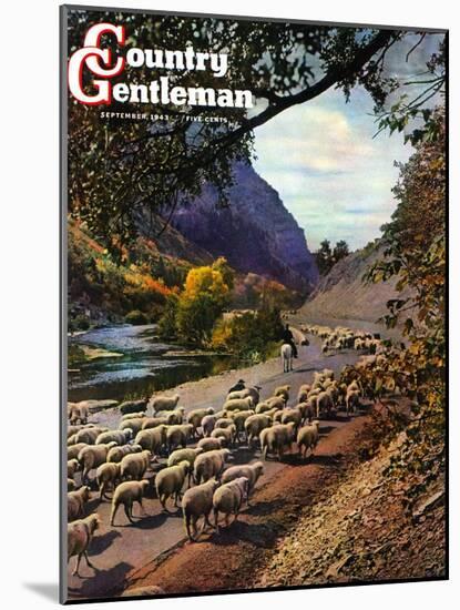 "Herding Sheep," Country Gentleman Cover, September 1, 1943-Mike Roberts-Mounted Giclee Print