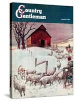 "Herding Sheep into Barn," Country Gentleman Cover, February 1, 1946-Matt Clark-Stretched Canvas
