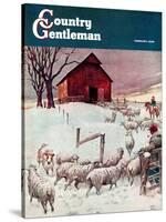 "Herding Sheep into Barn," Country Gentleman Cover, February 1, 1946-Matt Clark-Stretched Canvas