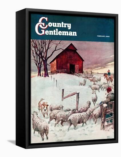 "Herding Sheep into Barn," Country Gentleman Cover, February 1, 1946-Matt Clark-Framed Stretched Canvas