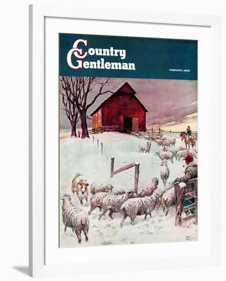 "Herding Sheep into Barn," Country Gentleman Cover, February 1, 1946-Matt Clark-Framed Giclee Print