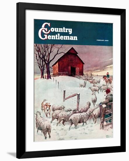 "Herding Sheep into Barn," Country Gentleman Cover, February 1, 1946-Matt Clark-Framed Giclee Print