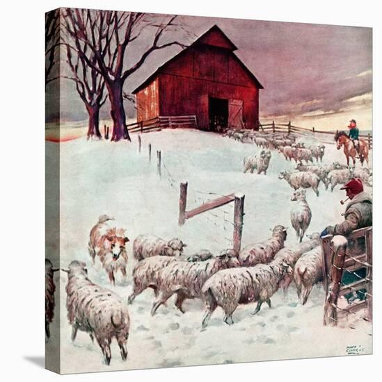 "Herding Sheep into Barn,"February 1, 1946-Matt Clark-Stretched Canvas