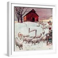 "Herding Sheep into Barn,"February 1, 1946-Matt Clark-Framed Giclee Print