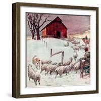 "Herding Sheep into Barn,"February 1, 1946-Matt Clark-Framed Giclee Print