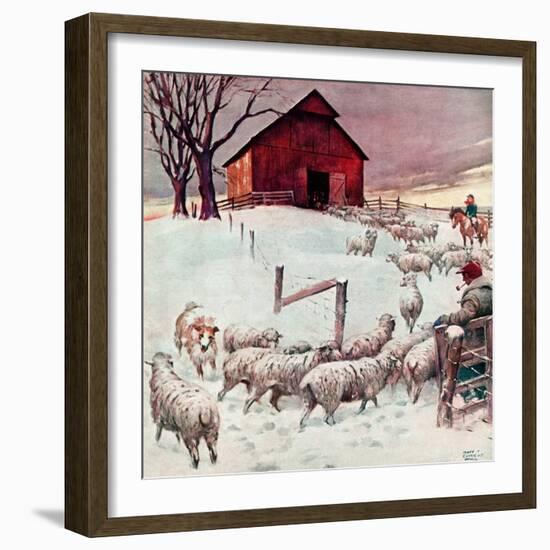 "Herding Sheep into Barn,"February 1, 1946-Matt Clark-Framed Giclee Print