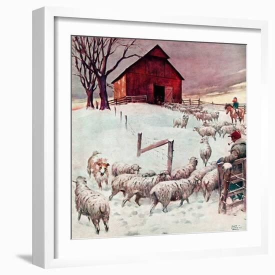 "Herding Sheep into Barn,"February 1, 1946-Matt Clark-Framed Giclee Print