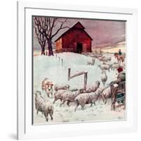 "Herding Sheep into Barn,"February 1, 1946-Matt Clark-Framed Giclee Print