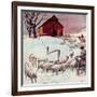 "Herding Sheep into Barn,"February 1, 1946-Matt Clark-Framed Giclee Print