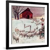 "Herding Sheep into Barn,"February 1, 1946-Matt Clark-Framed Giclee Print