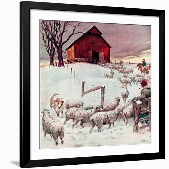 "Herding Sheep into Barn,"February 1, 1946-Matt Clark-Framed Giclee Print