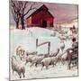"Herding Sheep into Barn,"February 1, 1946-Matt Clark-Mounted Giclee Print