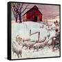 "Herding Sheep into Barn,"February 1, 1946-Matt Clark-Framed Stretched Canvas