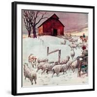 "Herding Sheep into Barn,"February 1, 1946-Matt Clark-Framed Giclee Print