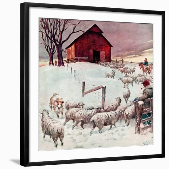 "Herding Sheep into Barn,"February 1, 1946-Matt Clark-Framed Giclee Print