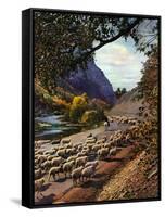 "Herding Sheep,"September 1, 1943-Mike Roberts-Framed Stretched Canvas