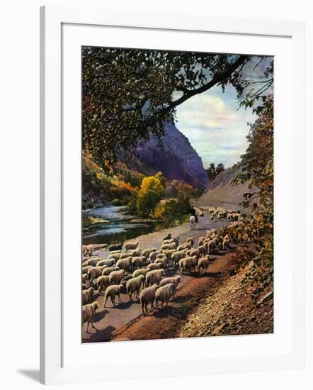 "Herding Sheep,"September 1, 1943-Mike Roberts-Framed Giclee Print