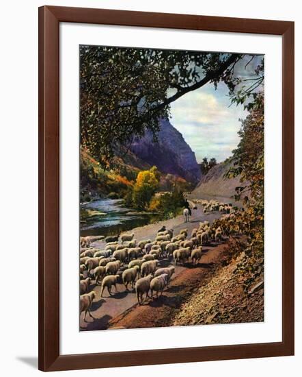 "Herding Sheep,"September 1, 1943-Mike Roberts-Framed Giclee Print