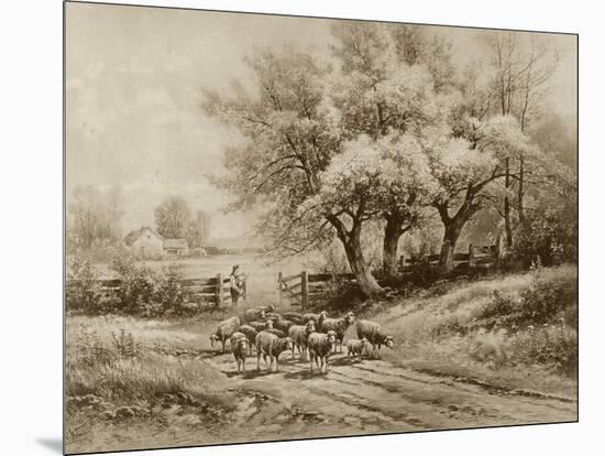 Herding Sheep-Carl Weber-Mounted Art Print