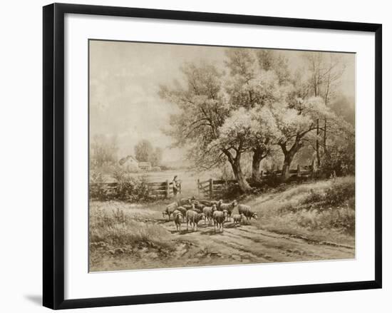 Herding Sheep-Carl Weber-Framed Art Print