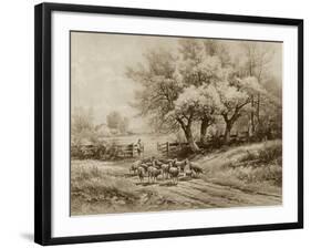 Herding Sheep-Carl Weber-Framed Art Print