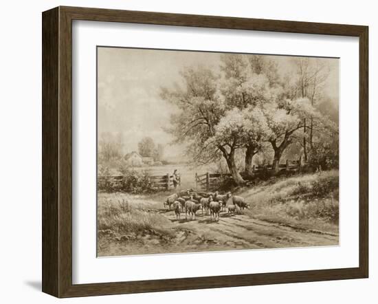 Herding Sheep-Carl Weber-Framed Art Print