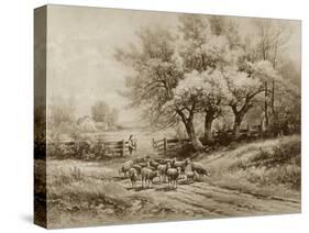 Herding Sheep-Carl Weber-Stretched Canvas