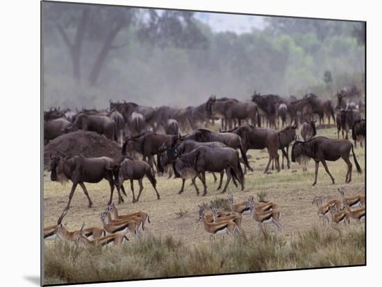 Herds of Gazelle, Zebra, Wildebeest, Topi, Masai Mara Game Reserve, Kenya-Art Wolfe-Mounted Photographic Print