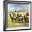 Herds of Llamas in the Andes-Ferdinando Tacconi-Framed Giclee Print