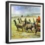 Herds of Llamas in the Andes-Ferdinando Tacconi-Framed Giclee Print