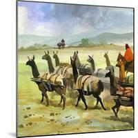 Herds of Llamas in the Andes-Ferdinando Tacconi-Mounted Giclee Print