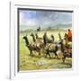 Herds of Llamas in the Andes-Ferdinando Tacconi-Framed Giclee Print